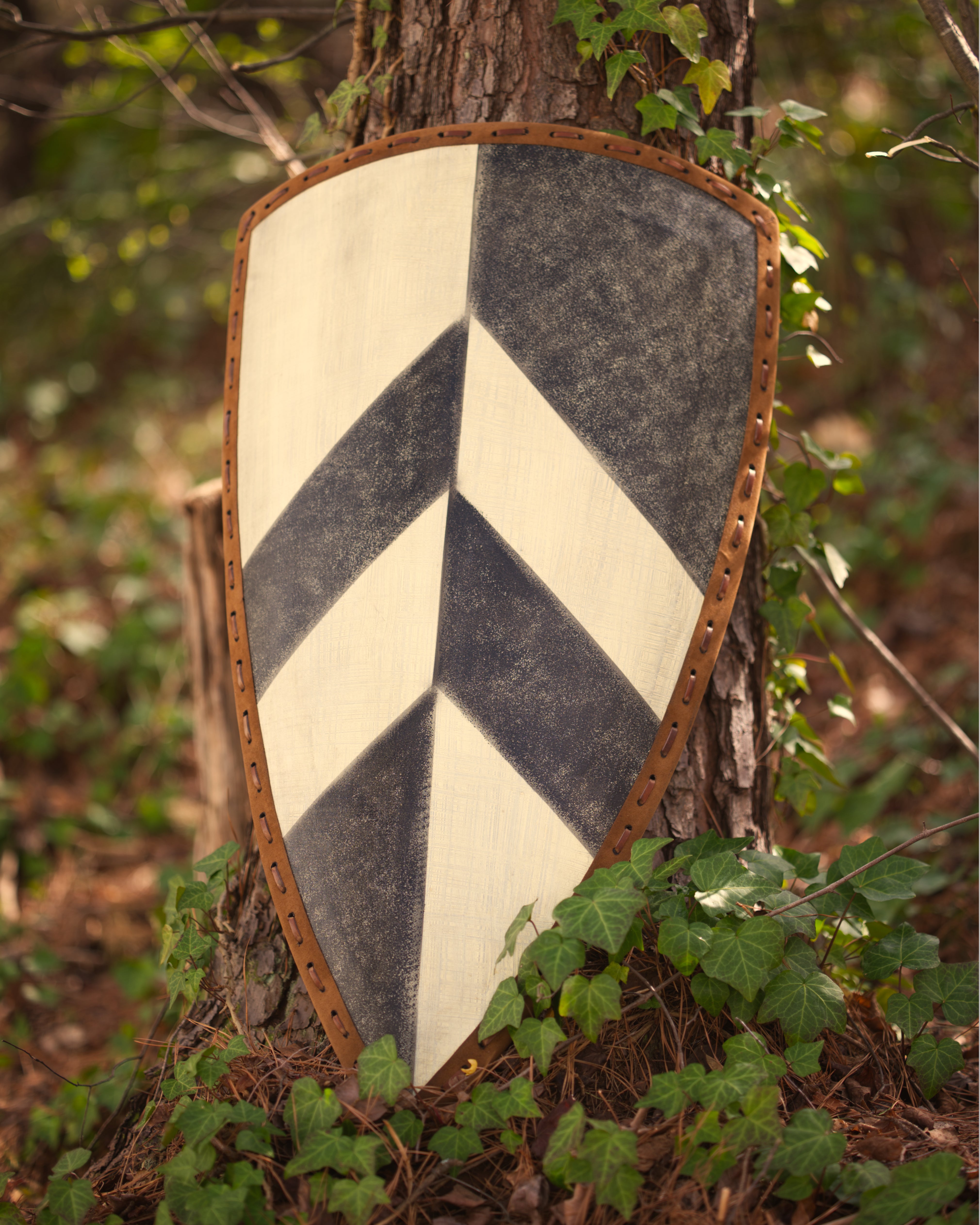 Baron's Shield